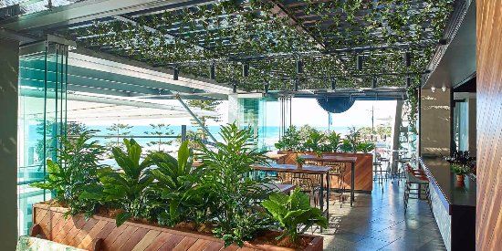 Hurricane's Grill Surfers Paradise